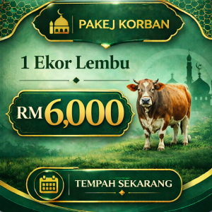 1 Ekor Lembu